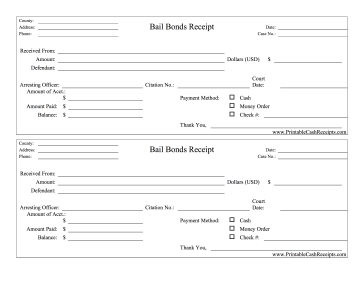 Bail Bonds Receipts cash receipt