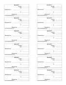 Mini Cash Receipts 12